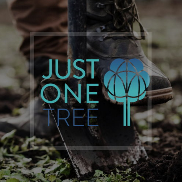 Making a Difference | AMO Partner with JUST ONE Tree
