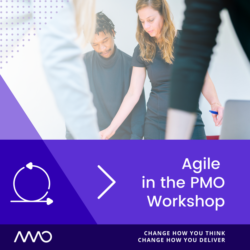 Agile in the PMO Workshop Series